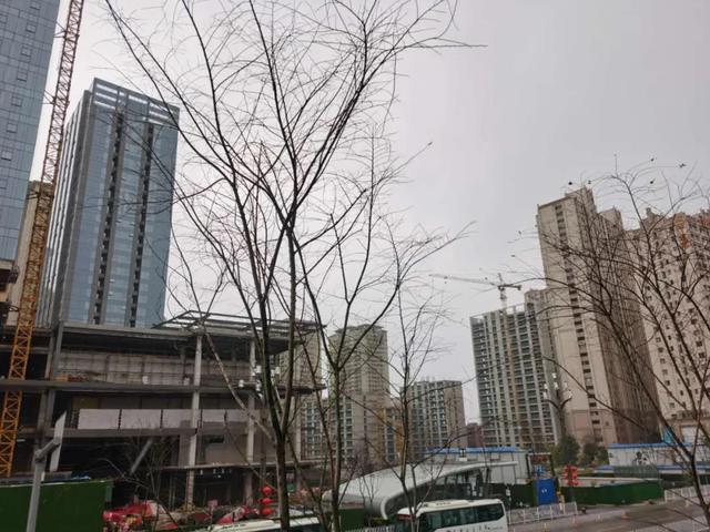 春雨