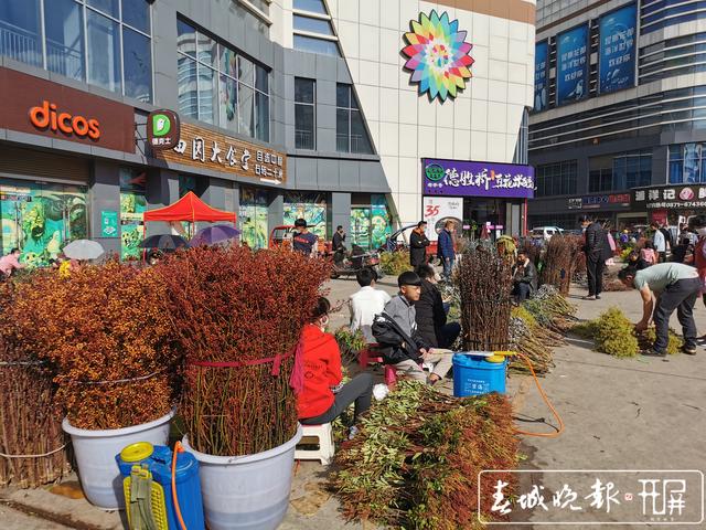鲜花