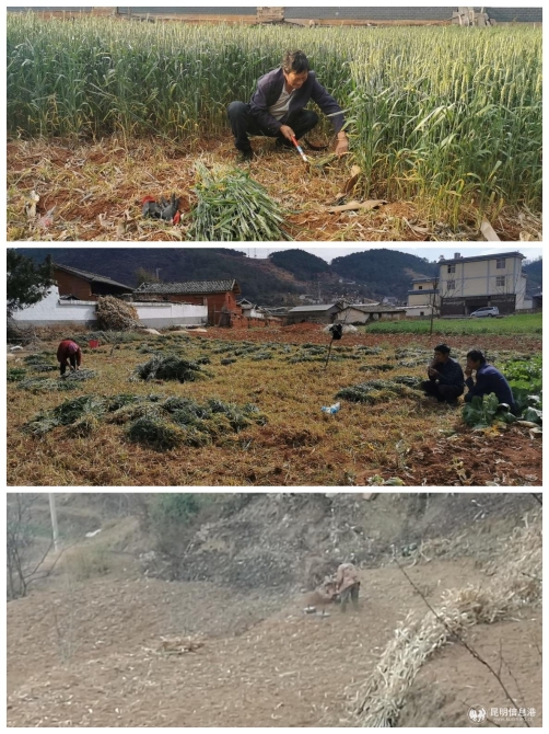 微信图片_20200311155558 微信图片_20200311155558