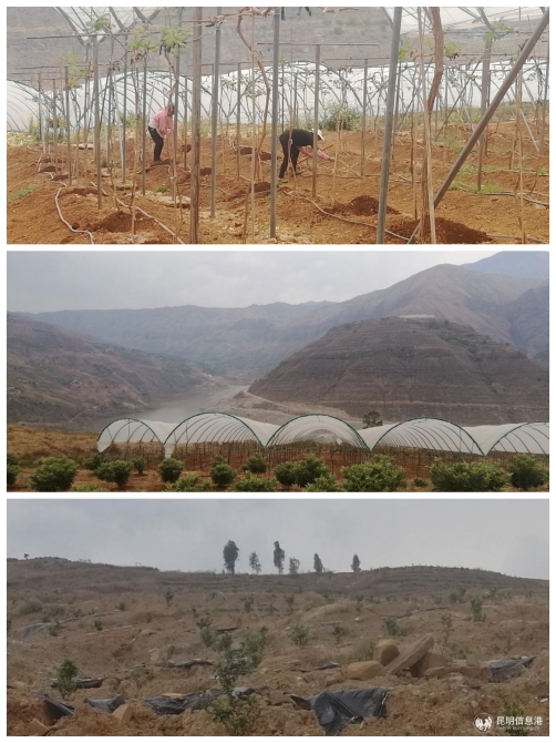 微信图片_20200311155544 微信图片_20200311155544