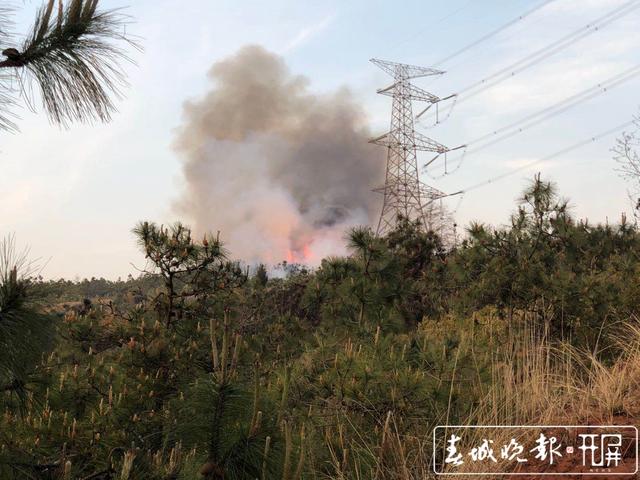 家长监管不到位，呈贡5岁娃放火烧山 (1).jpg