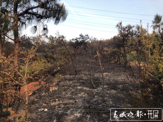 家长监管不到位，呈贡5岁娃放火烧山 (2).jpg