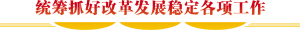 统筹抓好改革发展稳定各项工作 统筹抓好改革发展稳定各项工作
