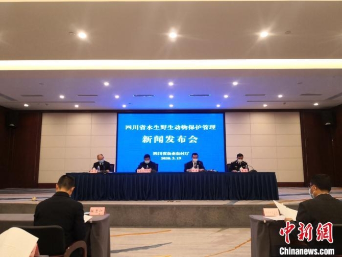 115258710_zsite 115258710_zsite