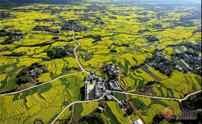 农村人居环境整治村庄清洁行动方案