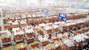 斗南花卉电子交易中心恢复电子拍卖。记者杜文蕾摄