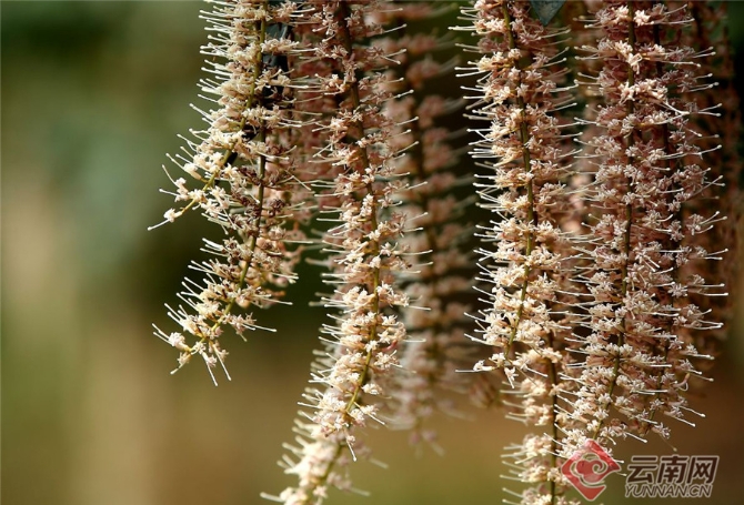 00301551222_865b401b