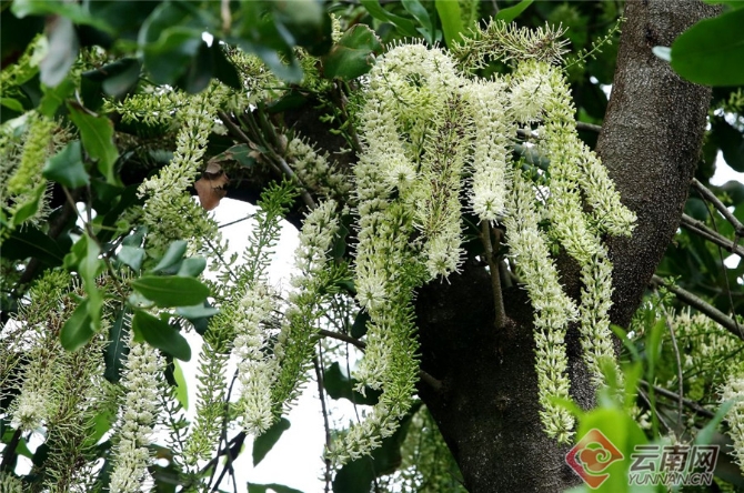 00301551224_17091711