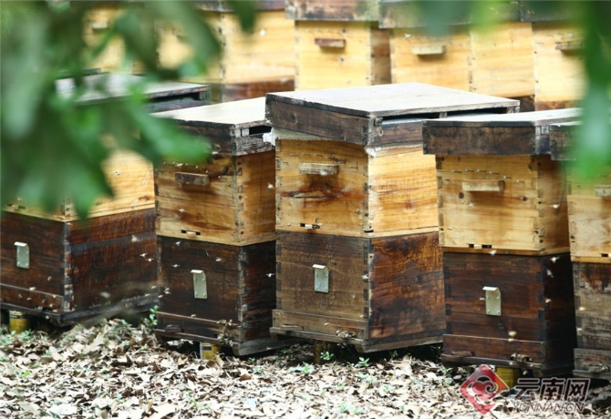 00301551225_ca4e8db9