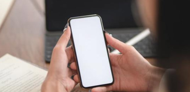 005056b8b7481fd93a7701 005056b8b7481fd93a7701