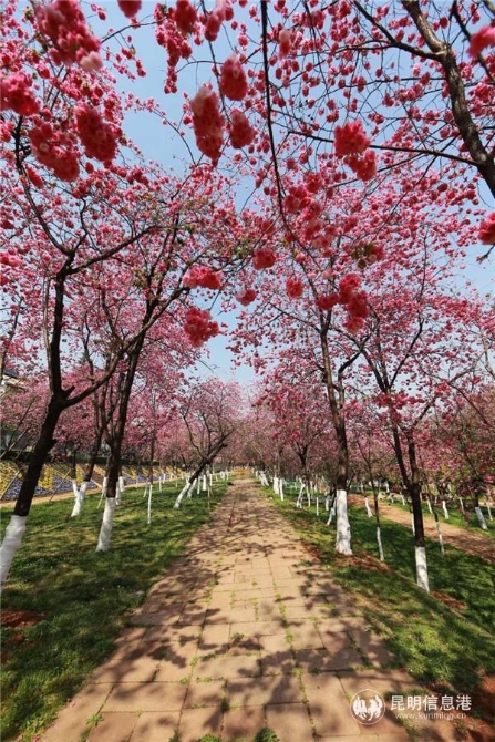 mmexport1585197203144 mmexport1585197203144