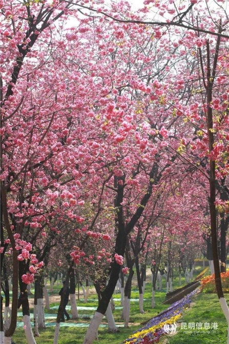 mmexport1585197231888 mmexport1585197231888