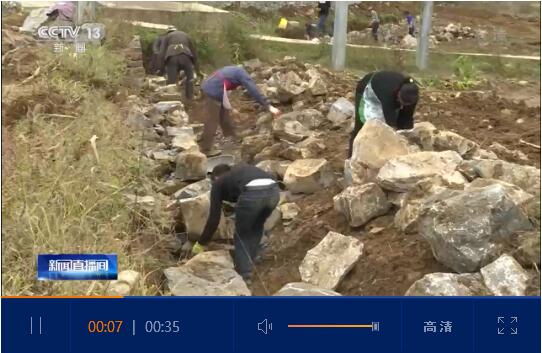 QQ截图20200327114726