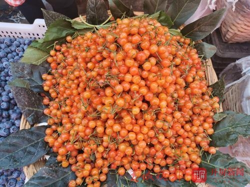 昆明樱桃、杨梅上市1.jpg