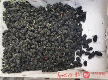 昆明樱桃、杨梅上市2_副本.jpg