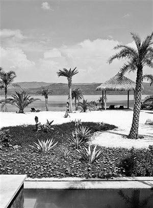 2020040304_res20_attpic_icon 2020040304_res20_attpic_icon