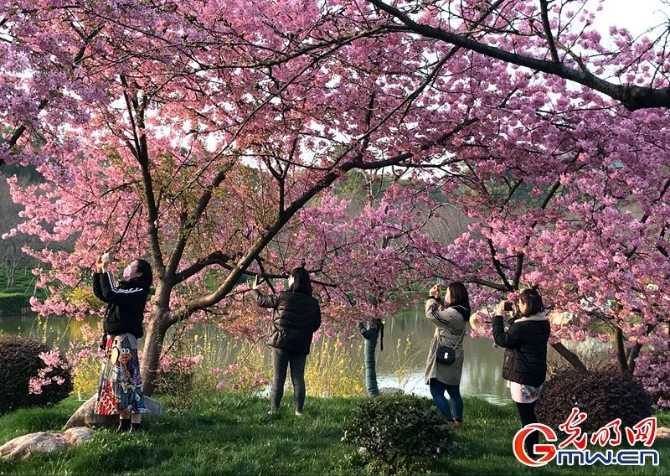 图片故事丨解封前的武汉有序重启,我们期待“你”光彩重生! 图片故事丨解封前的武汉有序重启,我们期待“你”光彩重生!