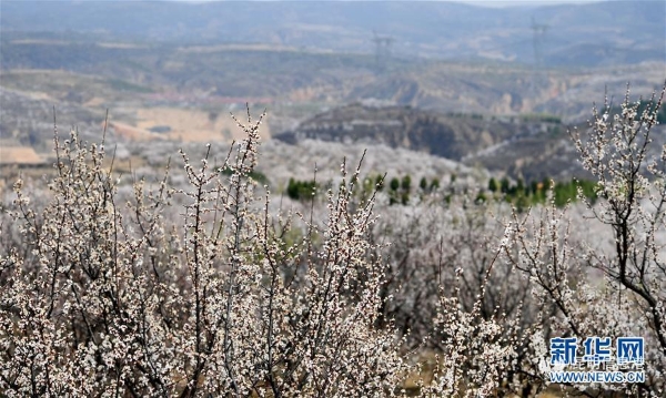 1125826170_15863084410861n