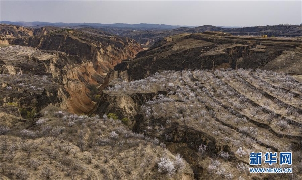 1125826170_15863084411471n