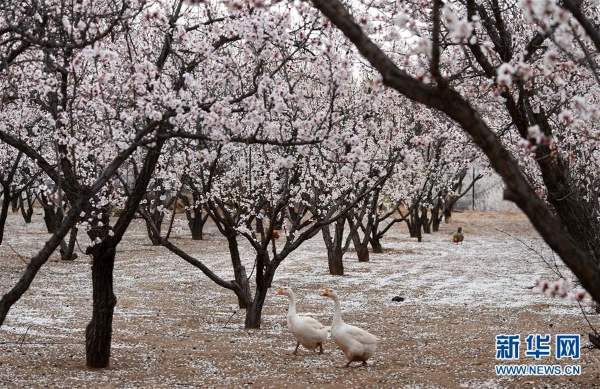 1125826170_15863084412181n