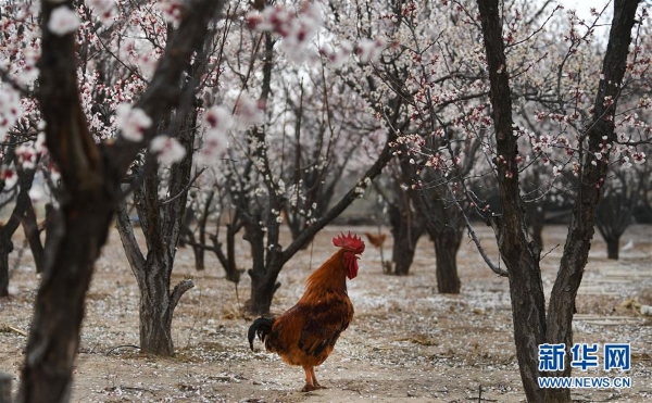 1125826170_15863084412541n