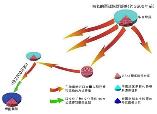 微信截图_20200409091706