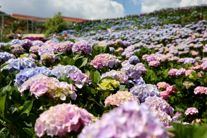 微信图片_202004081602372