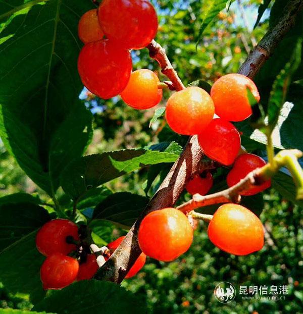 微信图片_20200410232035