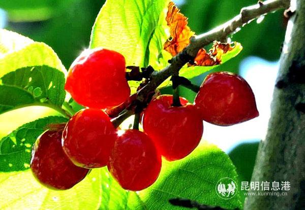 微信图片_20200410232040
