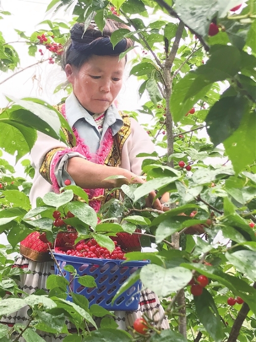 20200414A08_res07_attpic_brief 20200414A08_res07_attpic_brief