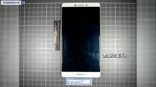 退休干部招募“敢死队”采购武器 妄图暴力巅峰国家政权被抓