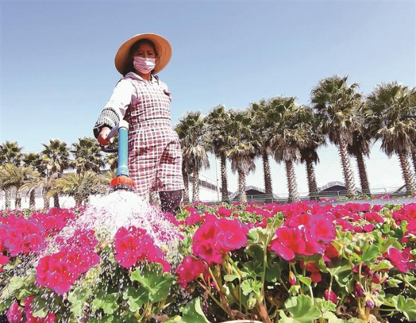 00301626472_5b249244 00301626472_5b249244