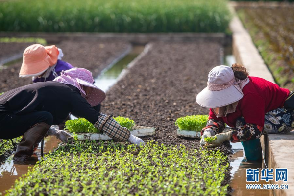 00301626473_3bedd5e0 00301626473_3bedd5e0