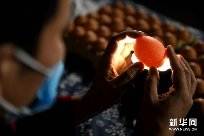 #(社会)(3)精美的蛋雕艺术