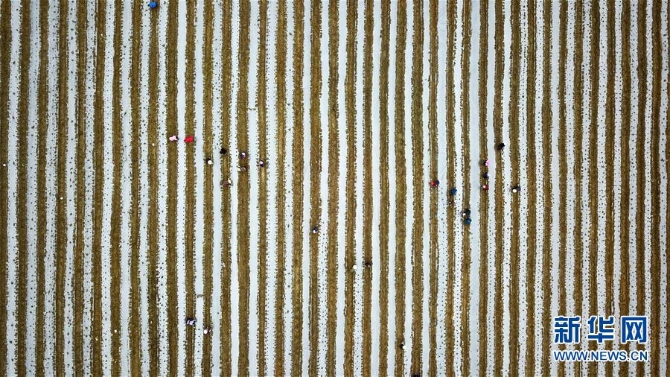 （在习近平新时代中国特色社会主义思想指引下——新时代新作为新篇章·习近平总书记关切事·图文互动）（6）啃下最后的硬骨头——脱贫攻坚挂牌督战进行时