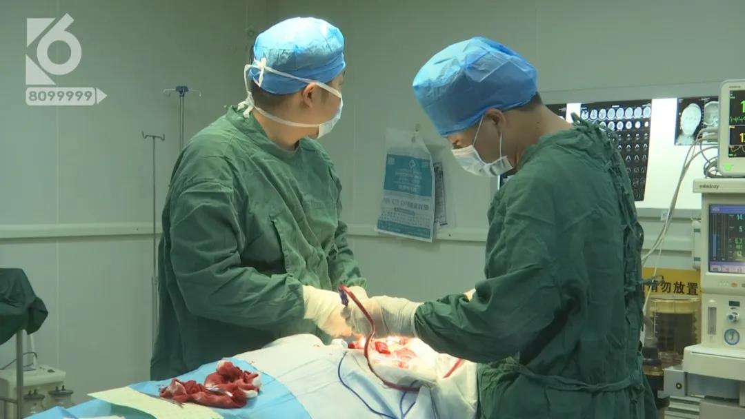 男子脸部被射15.5颗钢珠，竟说是“自己走火”？