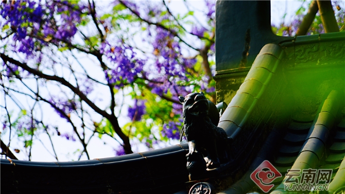 00301633589_7659a745 00301633589_7659a745