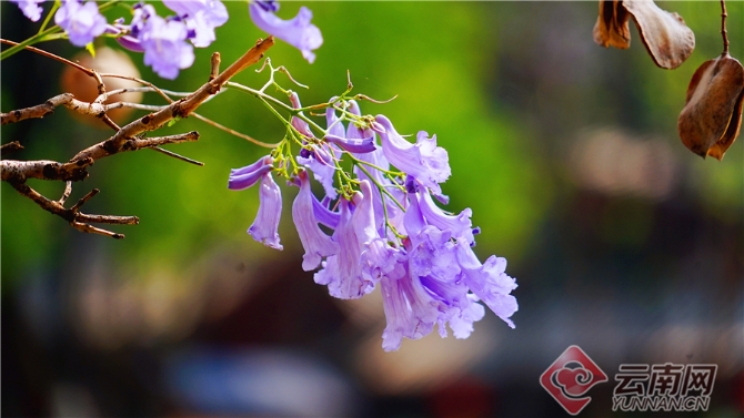 00301633602_30fdf284 00301633602_30fdf284