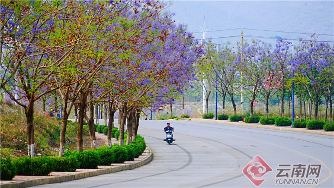 00301633603_79bef51a 00301633603_79bef51a