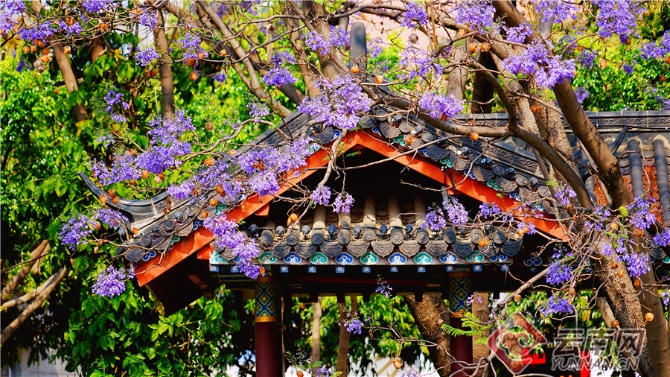 00301633604_9b11093c 00301633604_9b11093c