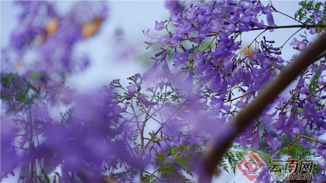 00301633609_1c18120e 00301633609_1c18120e