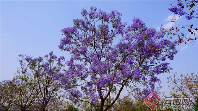 00301633610_36012427 00301633610_36012427