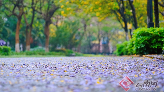 00301633611_6e734d2f 00301633611_6e734d2f