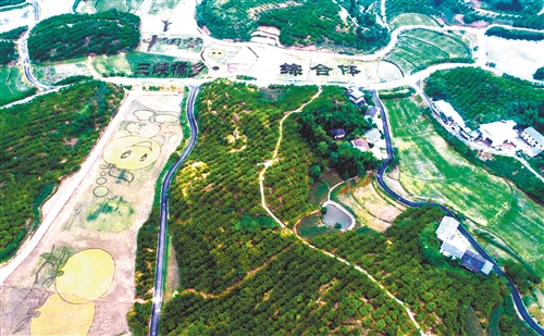 res01_attpic_brief (1)