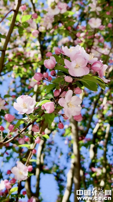 春季火气大?几招帮你轻松去火