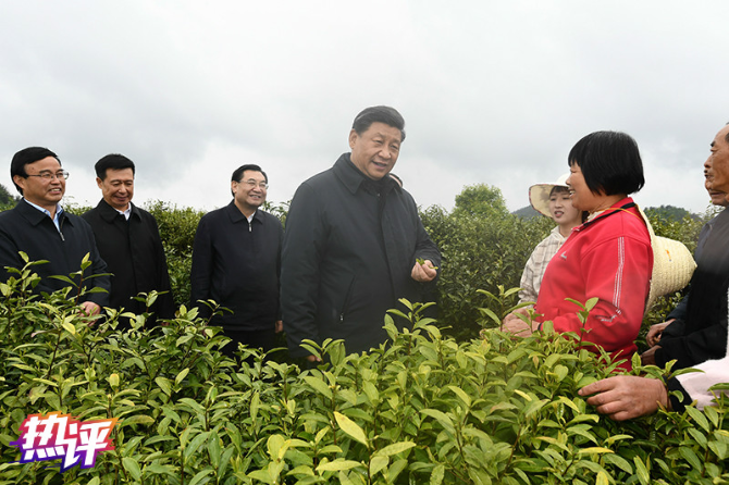 1587894479724_432_800x533 1587894479724_432_800x533