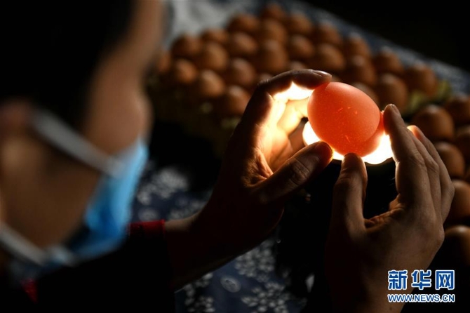 #(社会)(3)精美的蛋雕艺术