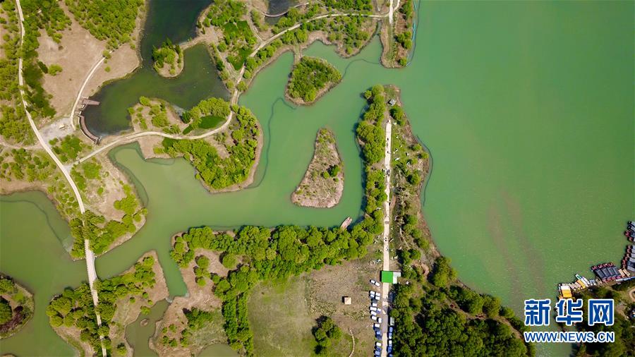 （春季美丽生态）（2）泉城济南：济西湿地春色美