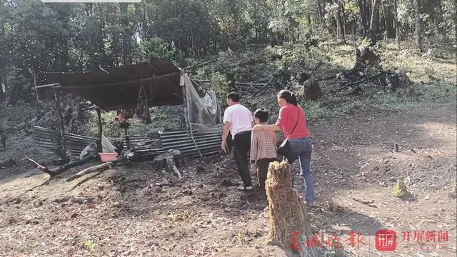 小学生开学未报到,老师在深山找到他