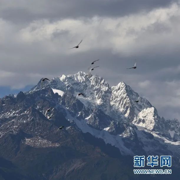 昆明丽江临沧上榜全球避暑名城7.jpg